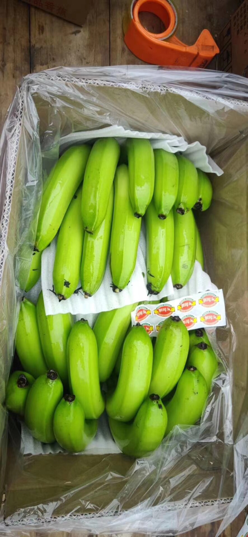 香蕉🍌香蕉🍌香蕉🍌大量现货供应