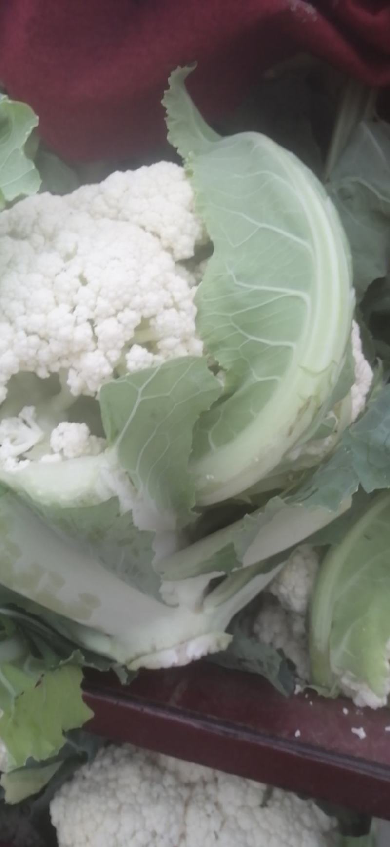 新野有机花菜，新野诚信赢天下蔬菜专业社供，