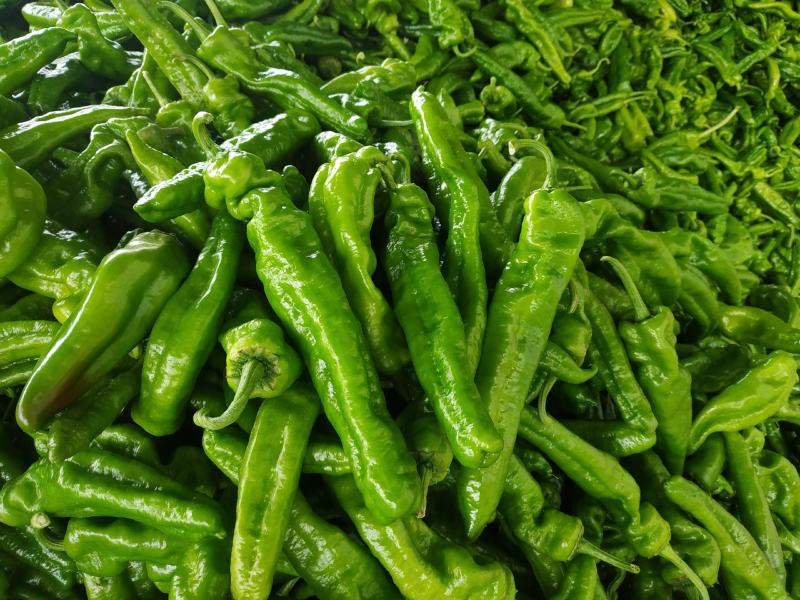 夏邑精品鲜辣椒，301辣椒河南产地直发全国