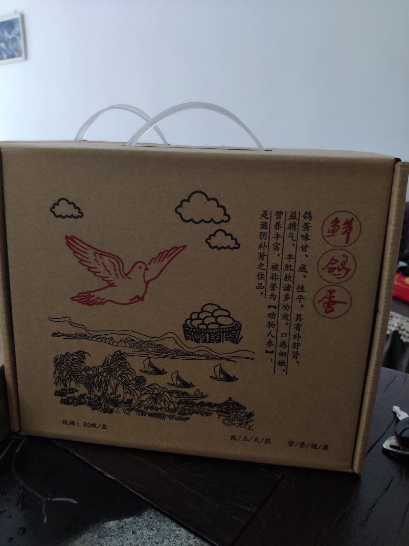 鸽子蛋，鲜鸽蛋，种鸽蛋，
