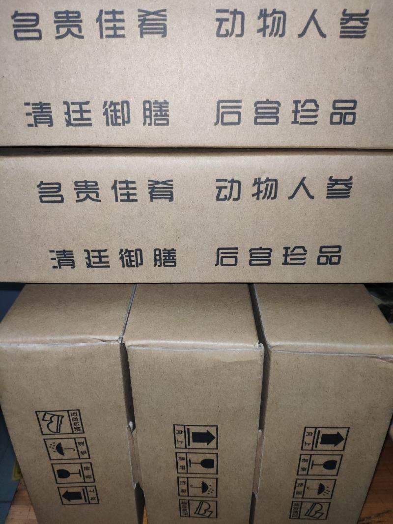 鸽子蛋，鲜鸽蛋，种鸽蛋，