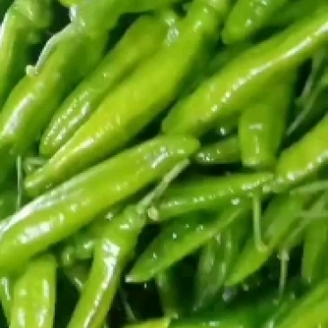 尖椒，精品尖椒，青辣椒
