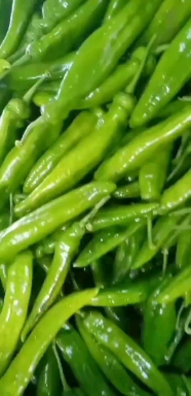 尖椒，精品尖椒，青辣椒