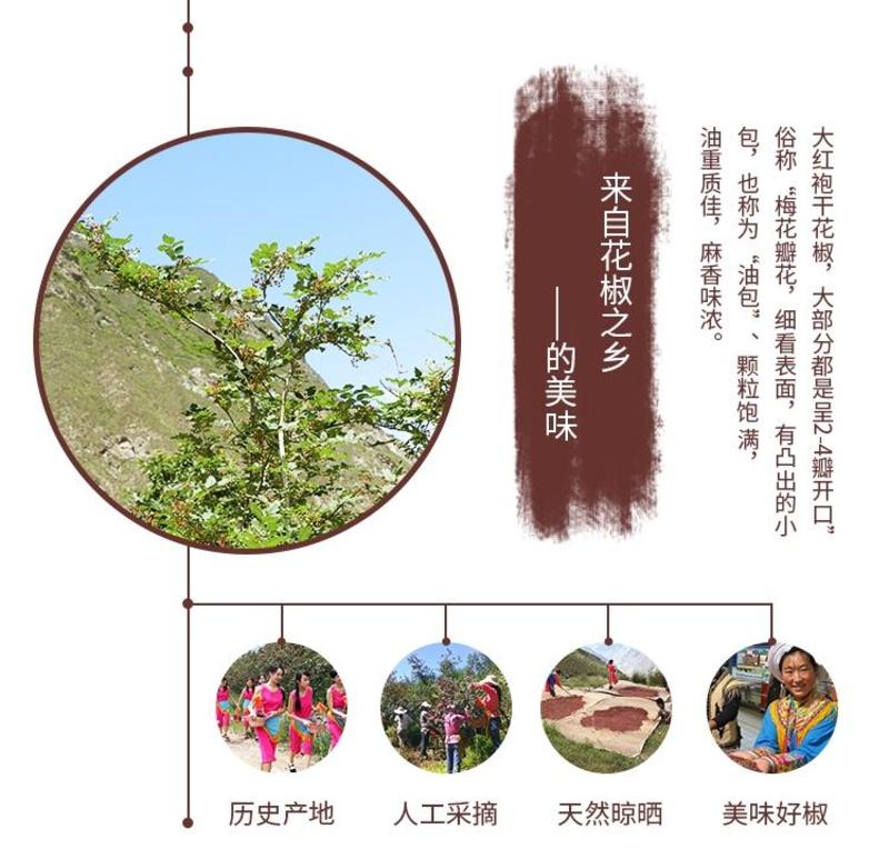 2023年四川茂汶大红袍麻椒麻椒产地直发质量保证