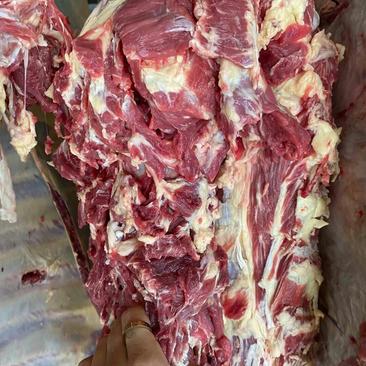 牛肉卷羊肉卷，牛肉砖羊肉砖批发零售，质量保证，超低价
