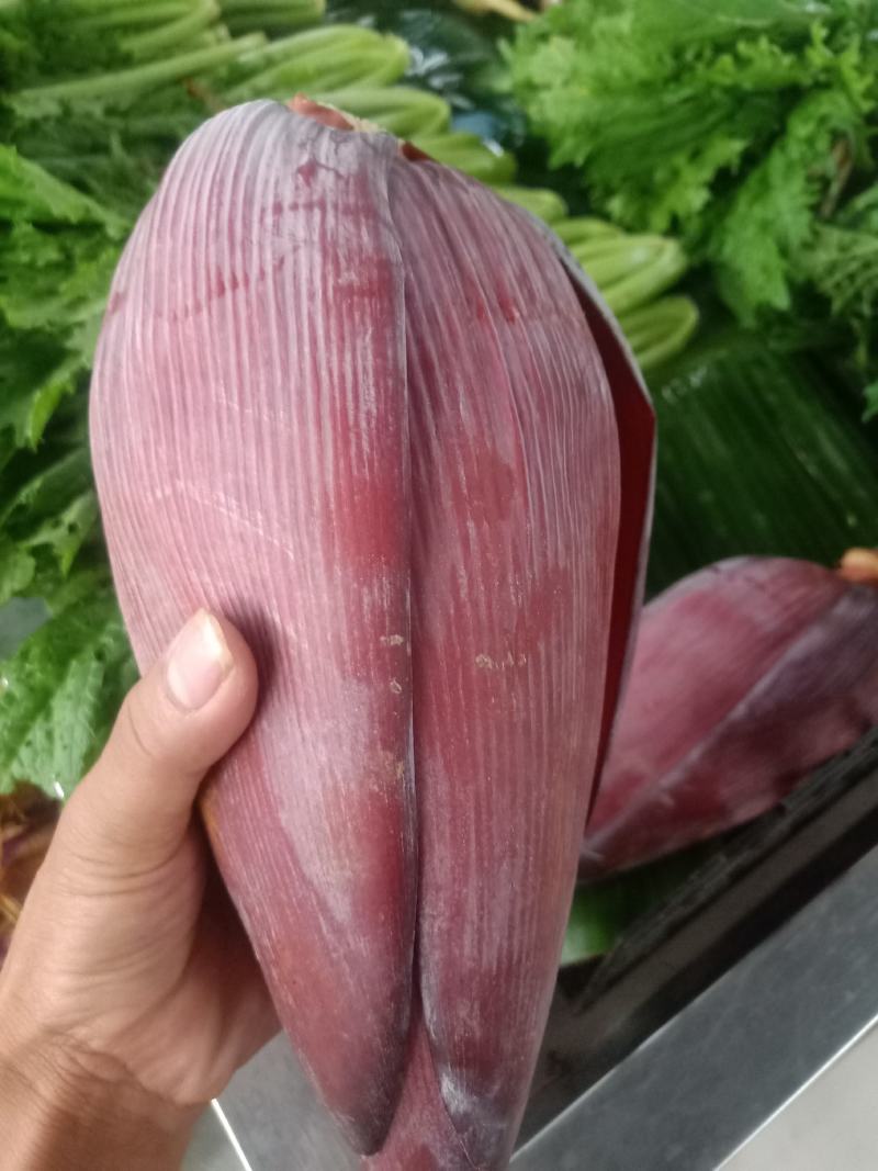 云南普洱芭蕉花_鲜货