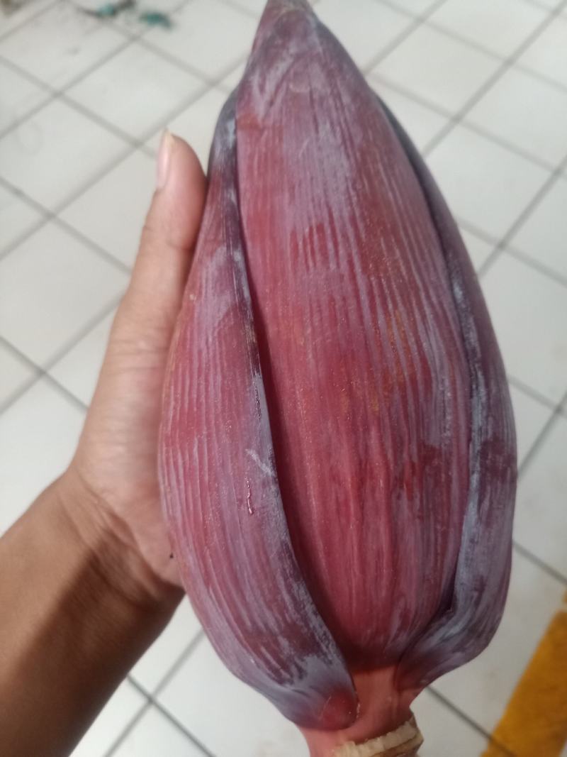 云南普洱芭蕉花_鲜货
