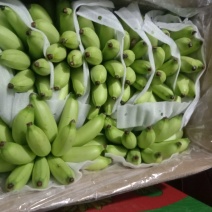精品皇帝蕉颜色好味道好32元一件！！！