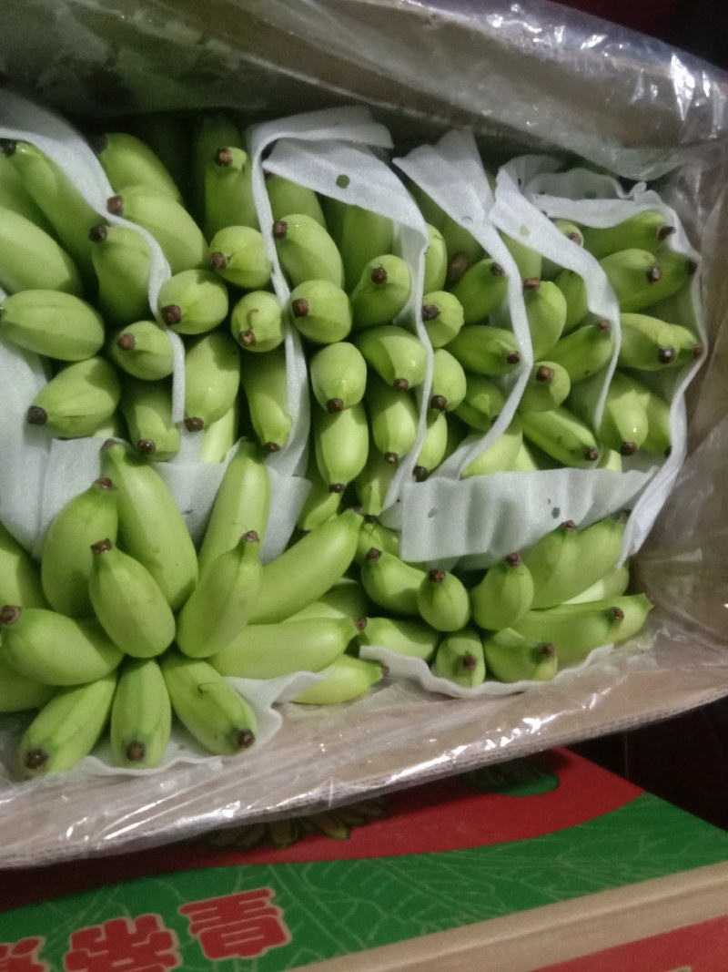 精品皇帝蕉颜色好味道好32元一件！！！