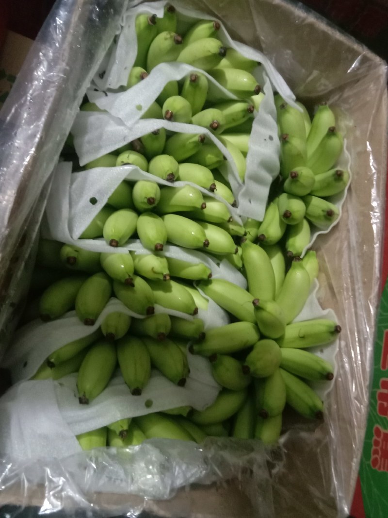 精品皇帝蕉颜色好味道好32元一件！！！