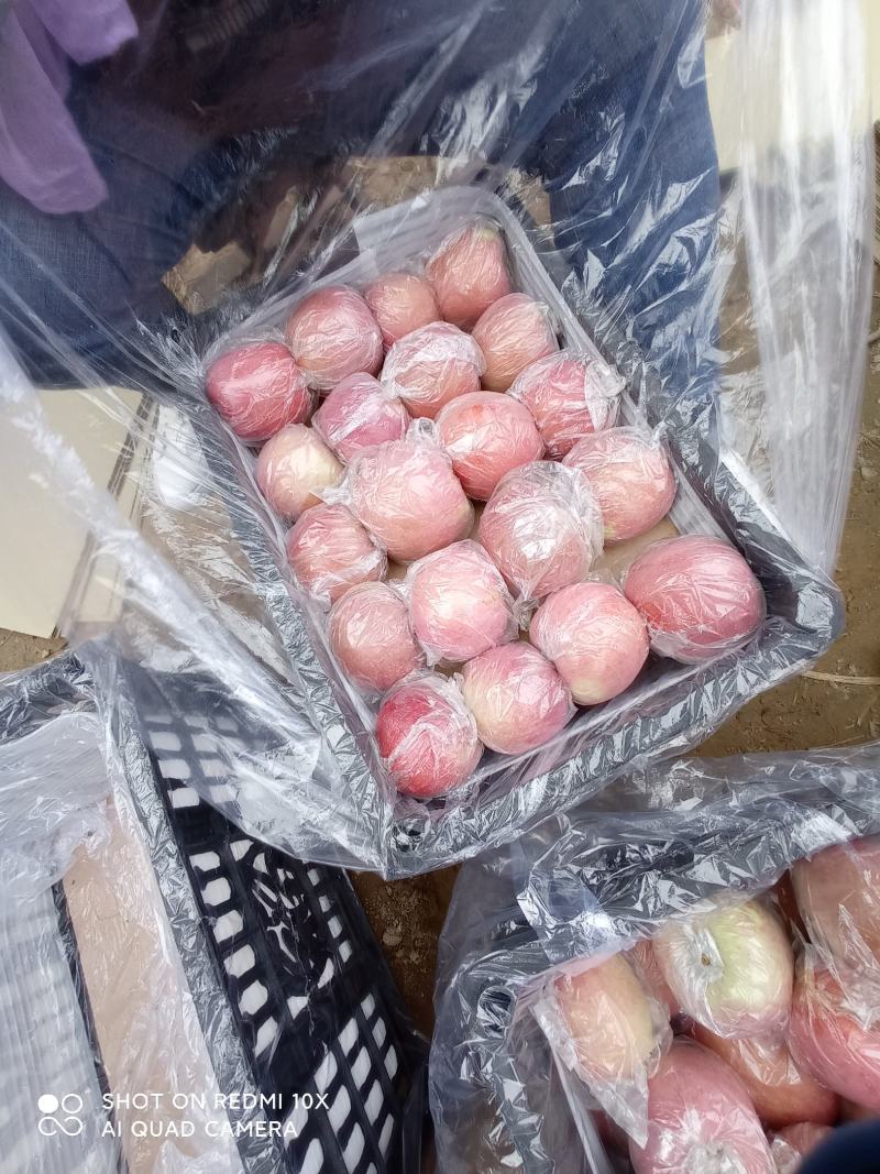 膜袋红富士，产地直供，保证质量，箱装，筐装，袋装视频看货