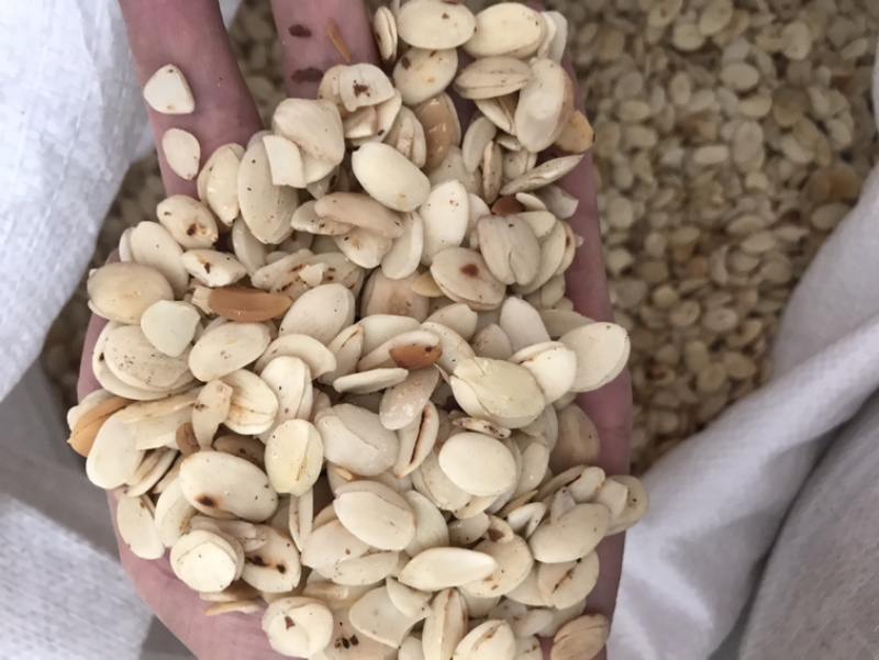 炒桃仁去皮炒桃仁桃仁保庆药业批发炒桃仁实拍