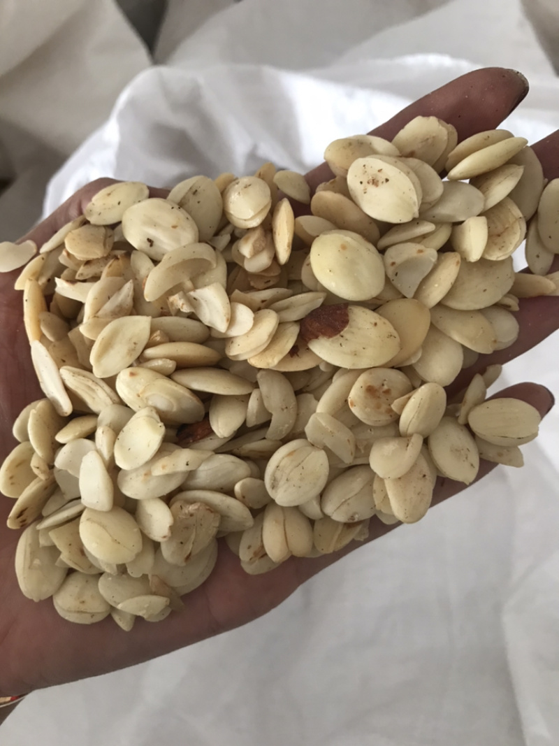炒桃仁去皮炒桃仁桃仁保庆药业批发炒桃仁实拍
