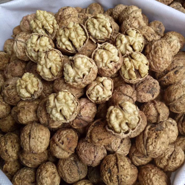 云南薄皮核桃，大麻子