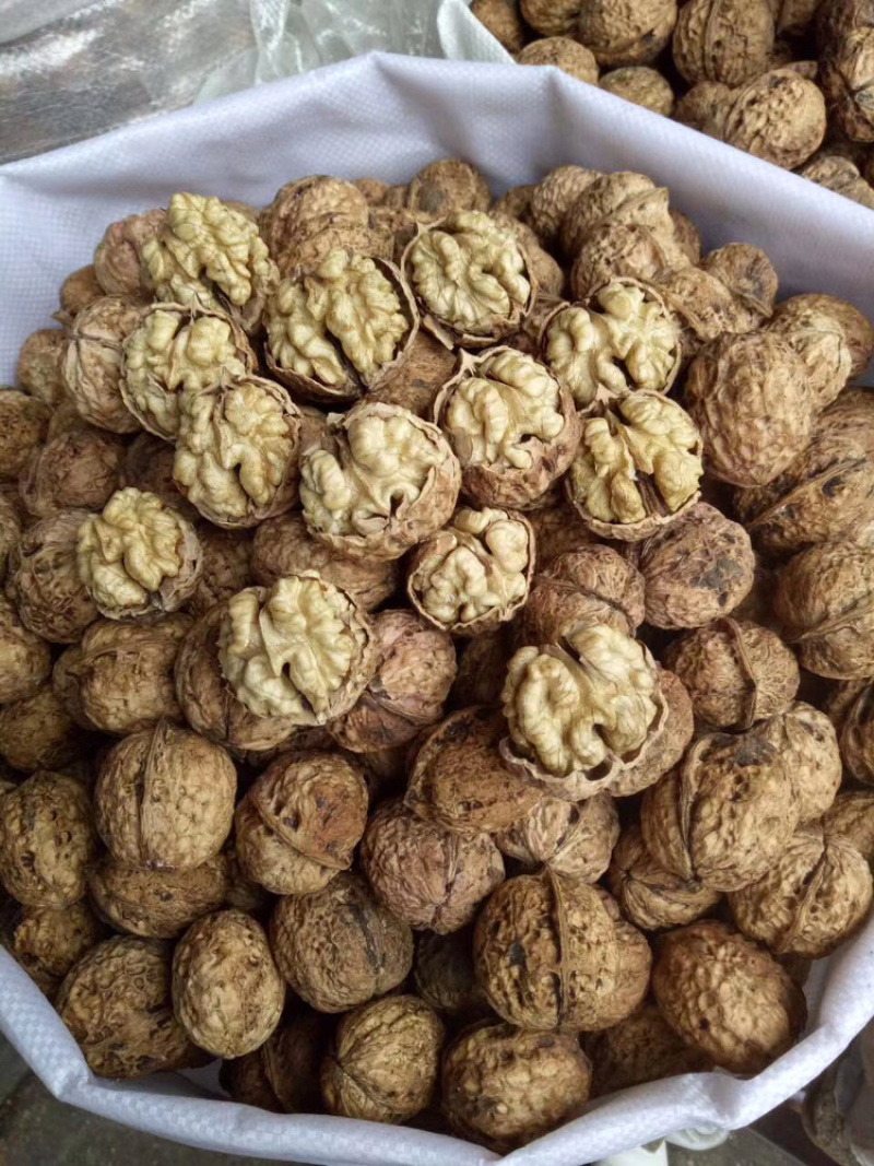 云南薄皮核桃，大麻子