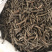 仙茅仙毛独脚仙茅保庆药材批发仙茅发货如图实拍