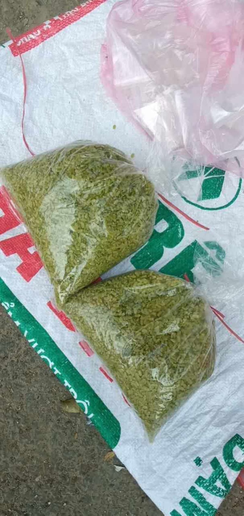 糯米，煮熟的晒干奶糯米