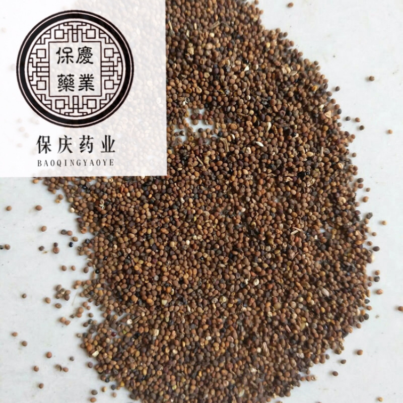 菟丝子吐丝率高【内蒙正品菟丝子】实拍无杂质