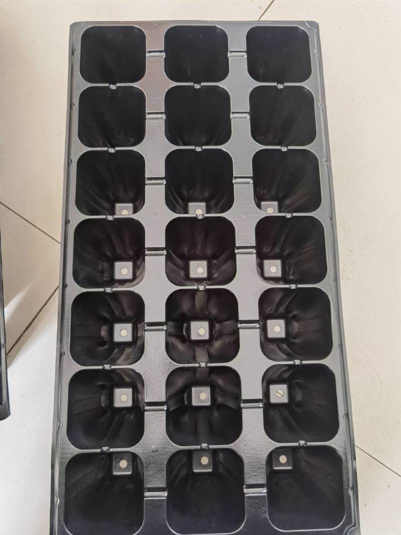 加深21孔，32孔，50草莓专用育苗穴盘，