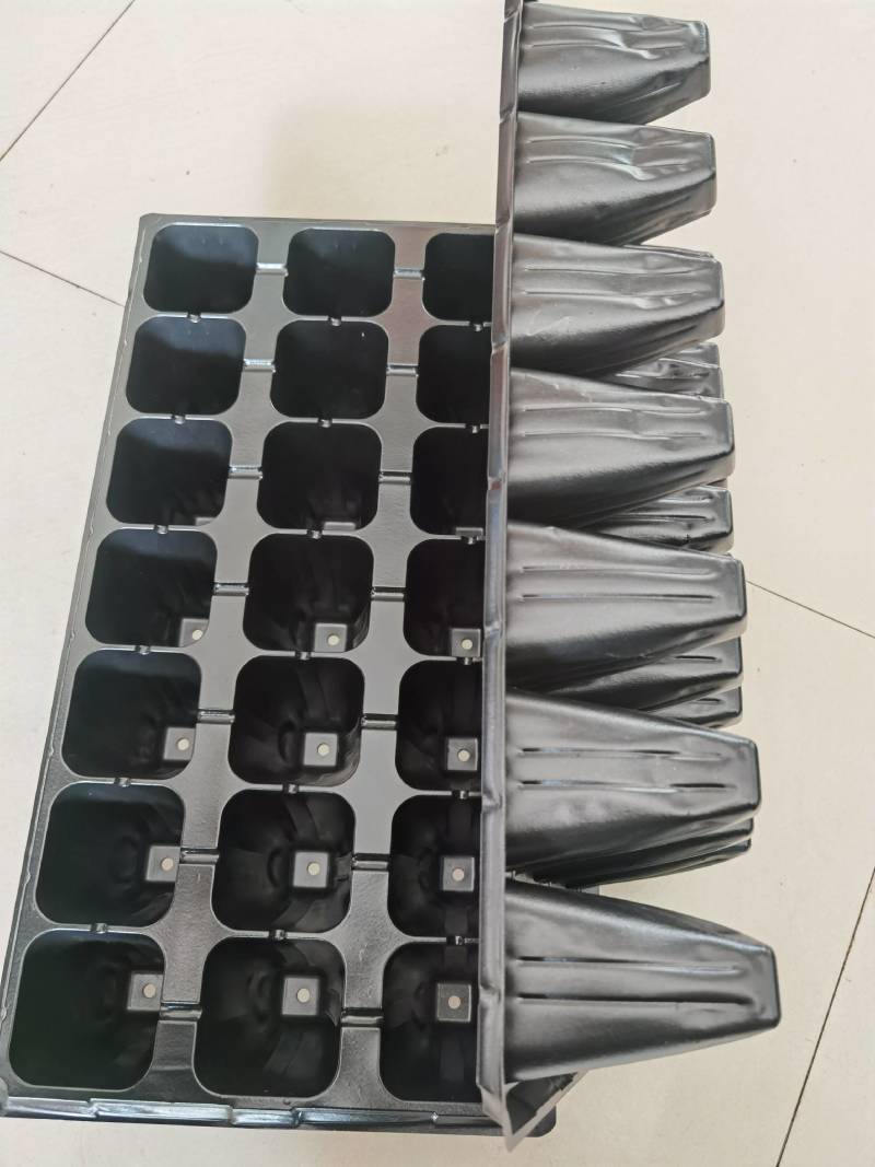加深21孔，32孔，50草莓专用育苗穴盘，