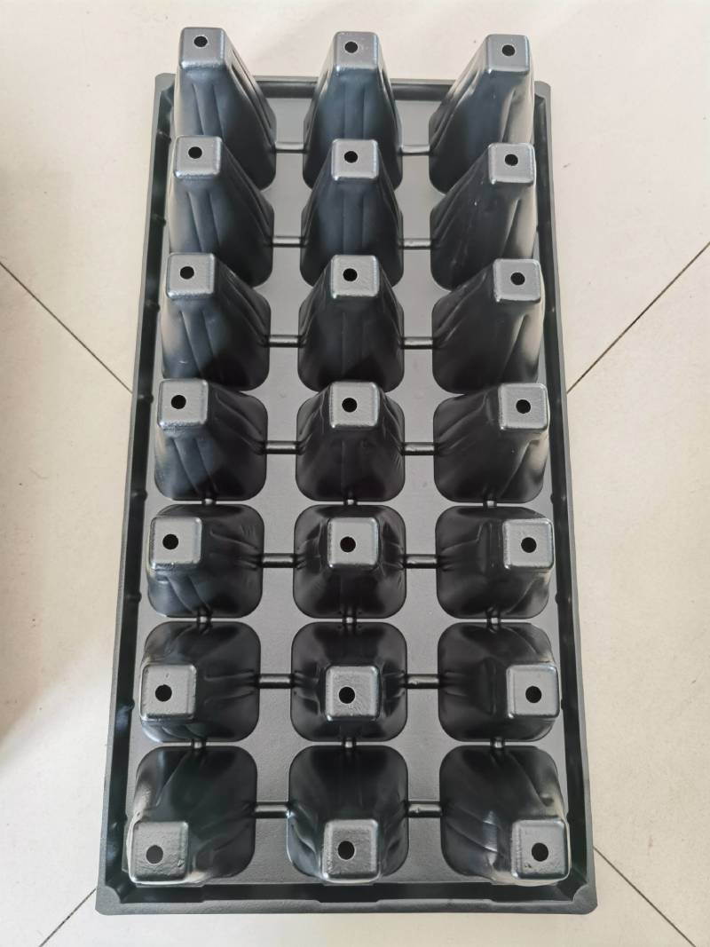 加深21孔，32孔，50草莓专用育苗穴盘，