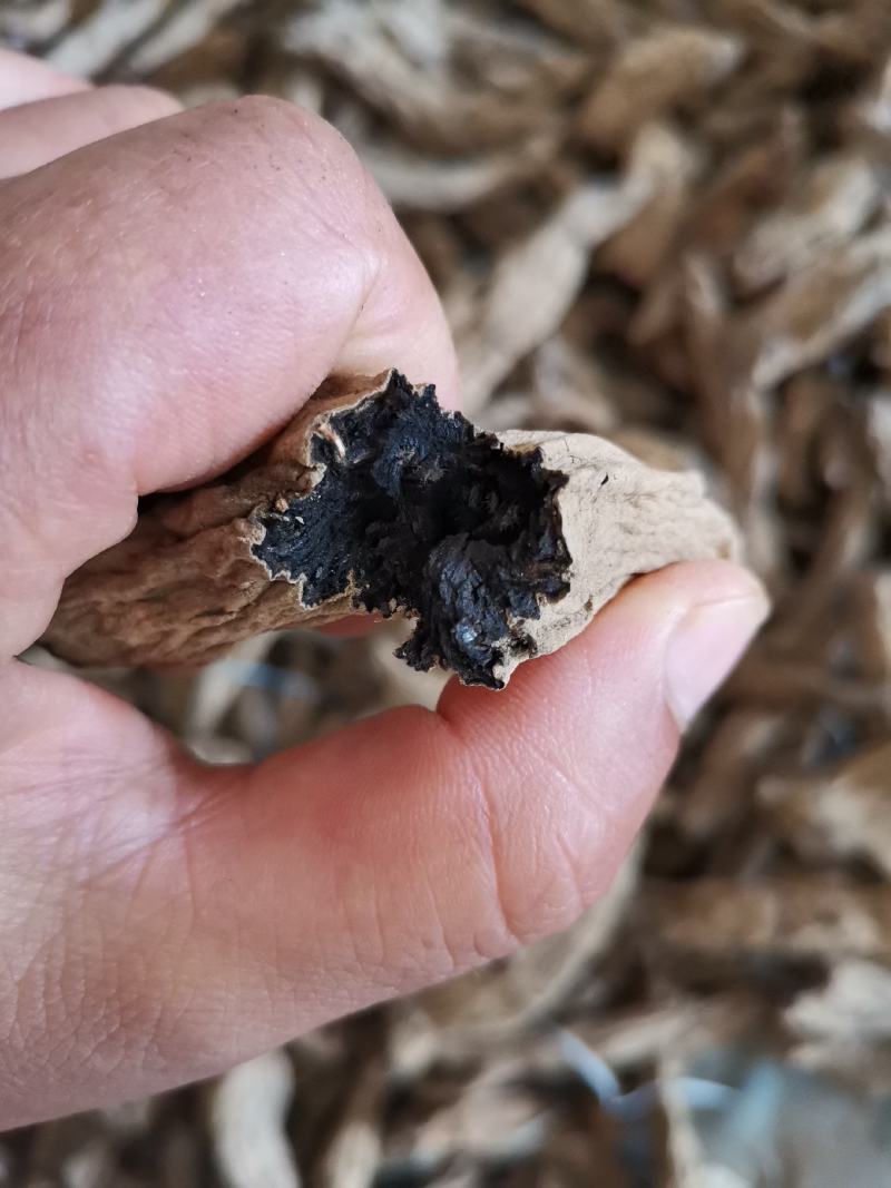 亳州市卫岗附近地产中药材玄参个子玄参片