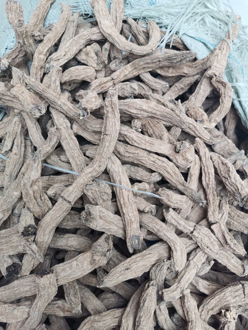 亳州市卫岗附近地产中药材玄参个子玄参片