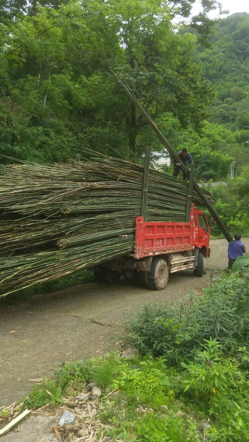 水竹子长短大小各种规格都有