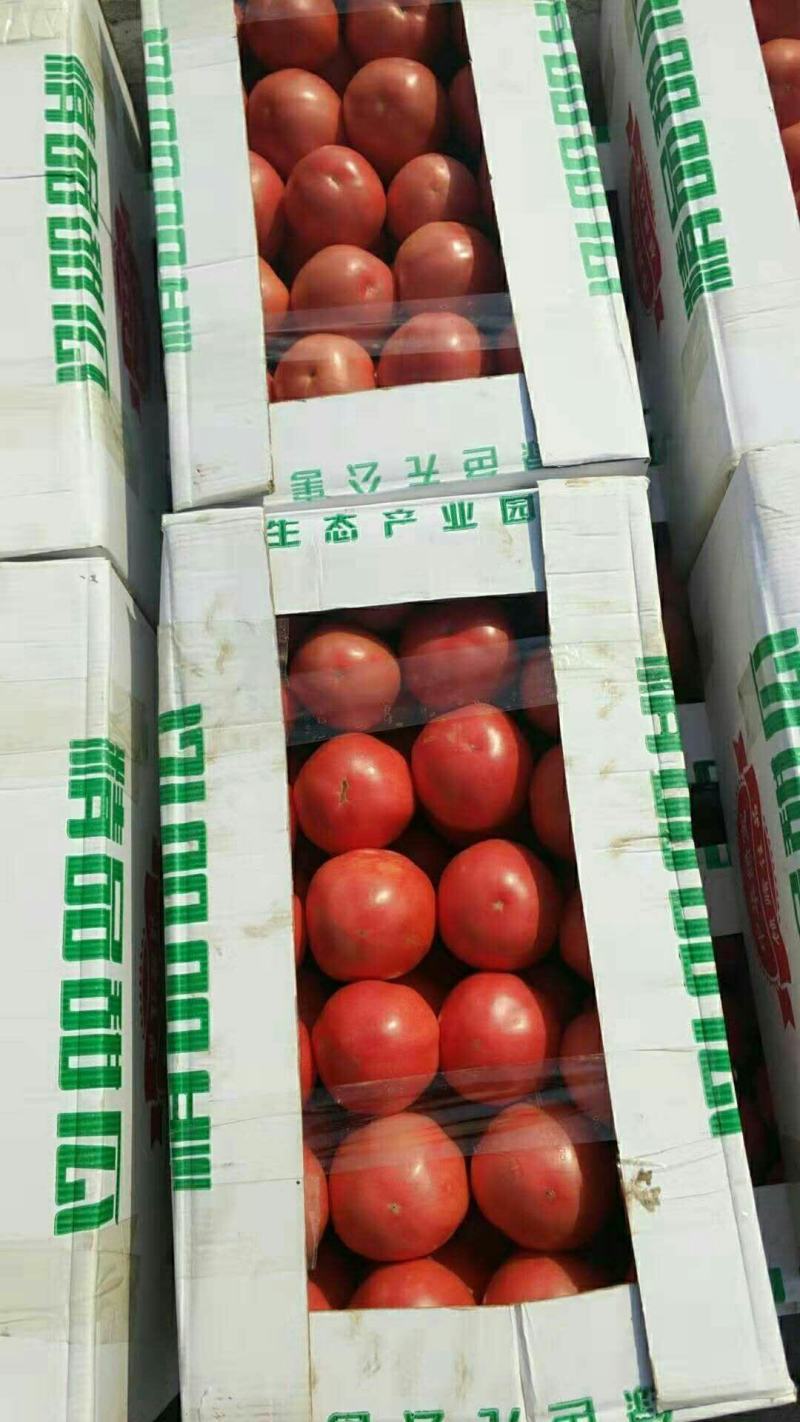 农联社老贺果蔬购销大量供应