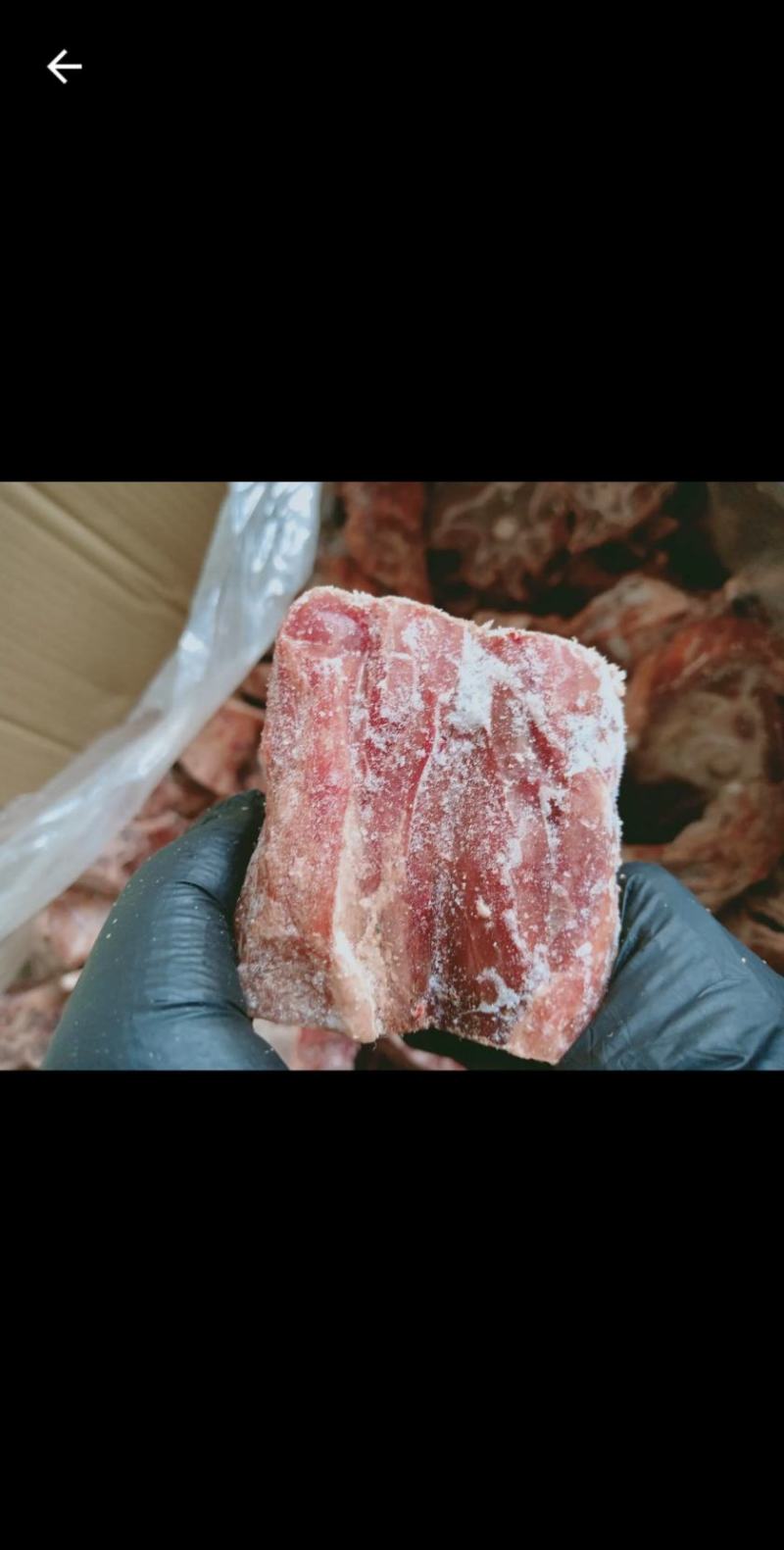 国产纯干羔羊羊蝎子，国产纯干羔羊羊蝎子，