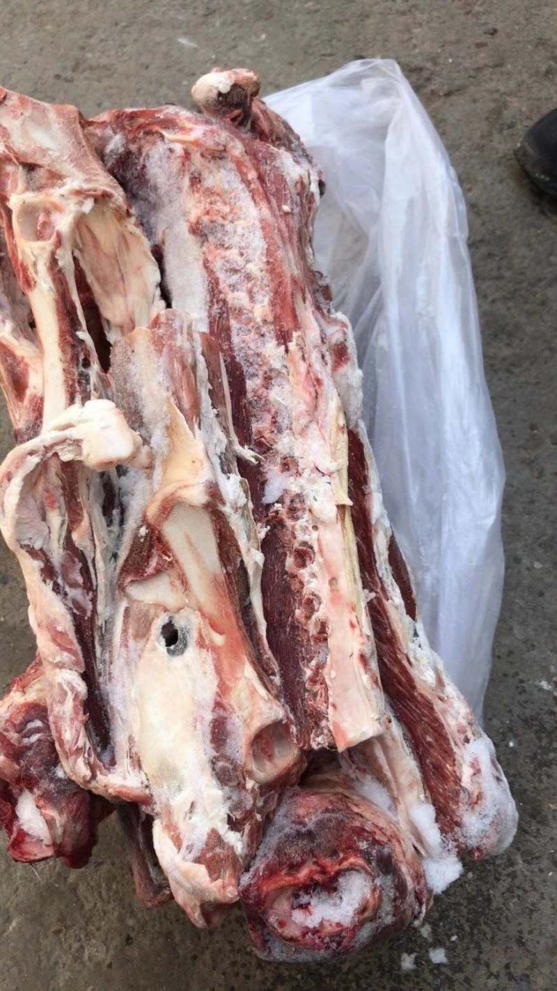 国产纯干羔羊羊蝎子，国产纯干羔羊羊蝎子，