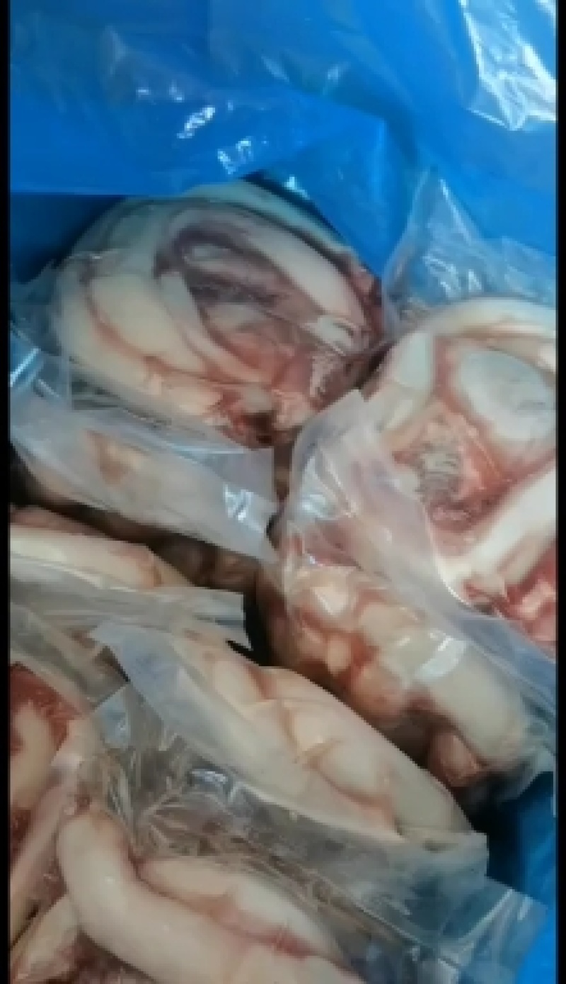 国产纯干精品牛鞭宝物美价国产牛鞭宝，国产牛鞭宝，