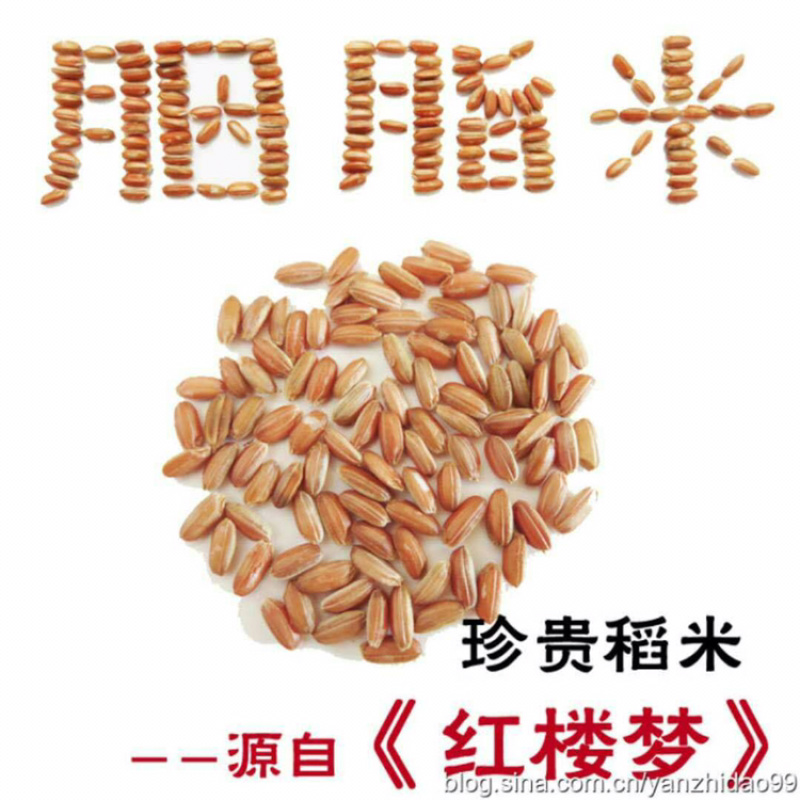 胭脂米种子、胭脂稻种子，原始老种子，自留种种子