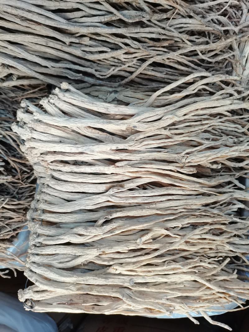 新货无硫低硫白条党参，大量上市，批零兼营，质优价美
