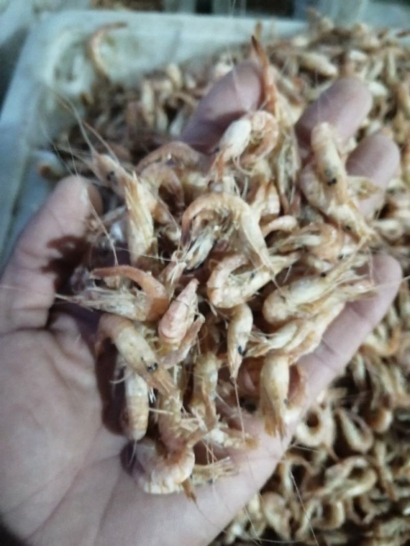 草虾一手货源，诚信为本