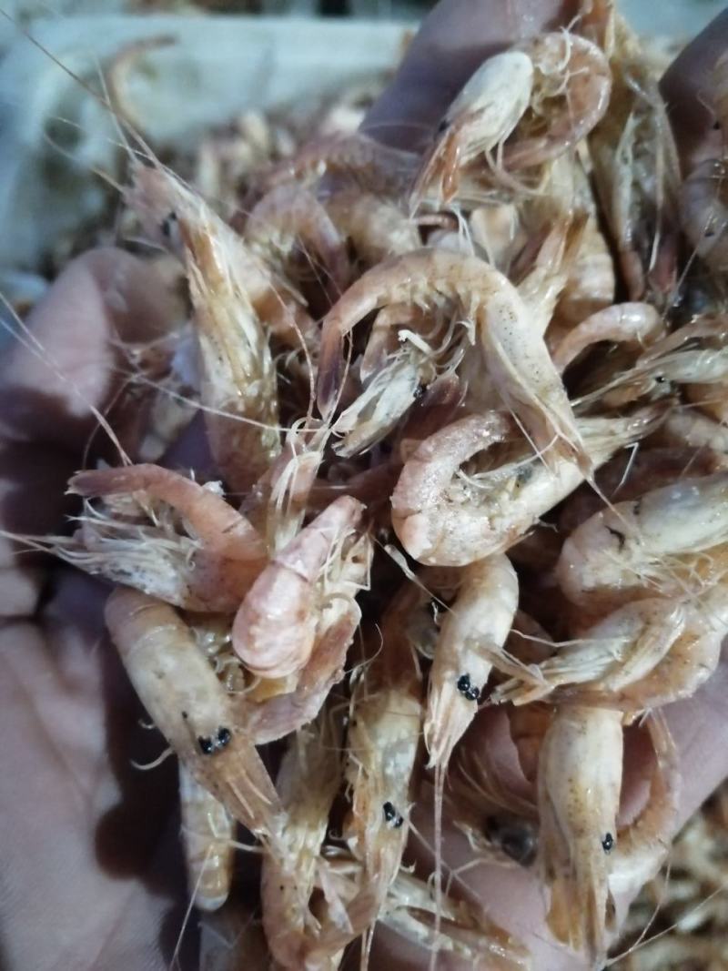草虾一手货源，诚信为本