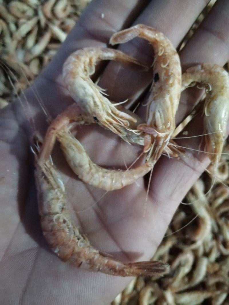 草虾一手货源，诚信为本