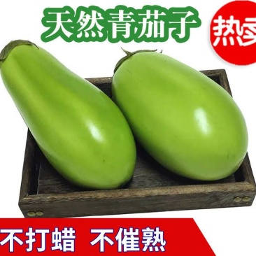 热销【精品】海城原产地一手货源现摘现发精品《绿茄子》