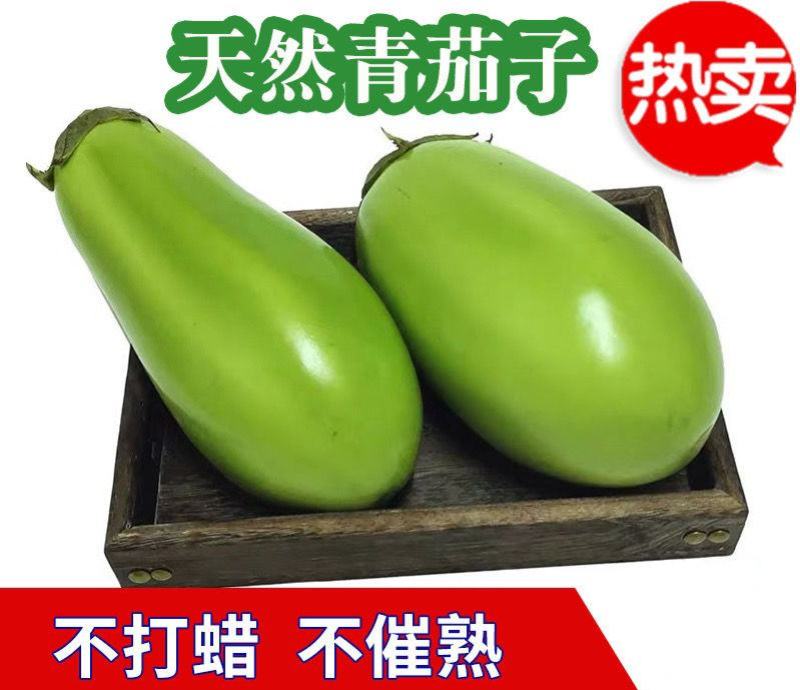 热销【精品】海城原产地一手货源现摘现发精品《绿茄子》