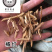 橘红橘红丝保庆药业批发橘红实物拍摄！发货如图