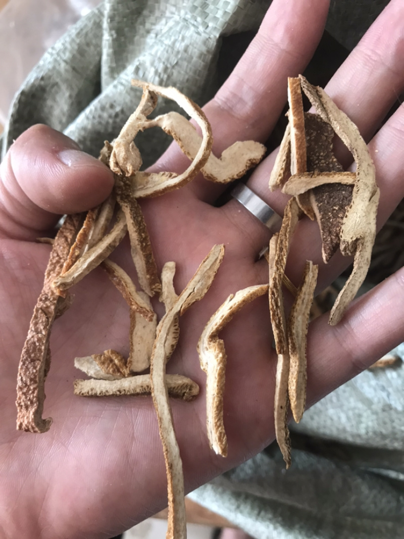 橘红橘红丝保庆药业批发橘红实物拍摄！发货如图