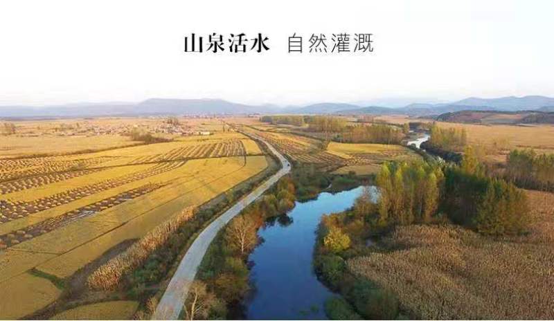 2023年新米东北大米五常大米稻花香2号大米真空5kg