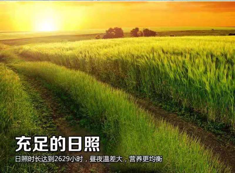 2023年新米东北大米五常大米稻花香2号大米真空5kg