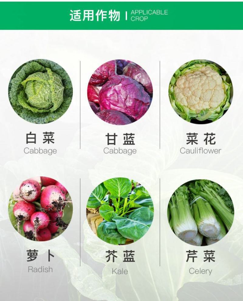白菜甘蓝花菜防腐包心剂调节剂包心菜花菜专用叶面肥抗病包邮