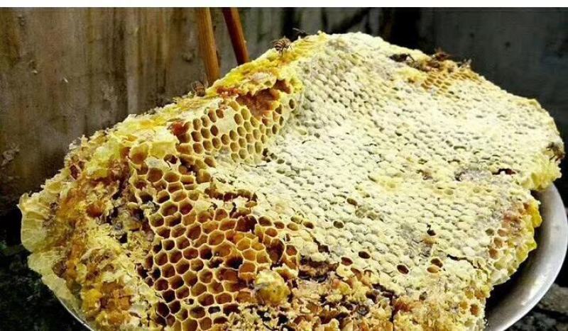 农家蜂蜜百花蜜农家养的正宗蜂蜜