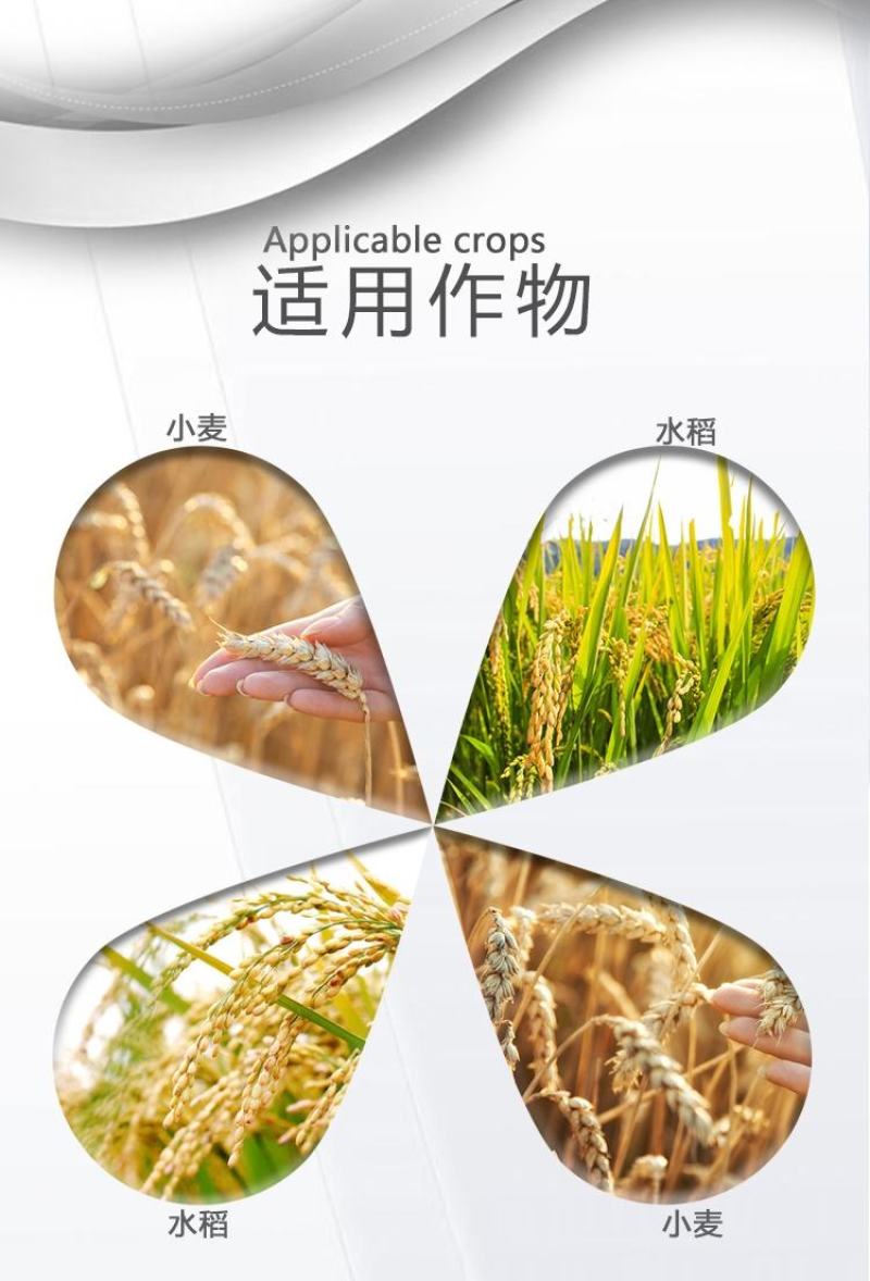京博阿瑞斯25%噻虫异丙威吡蚜酮噻虫嗪水稻小麦稻飞虱蚜