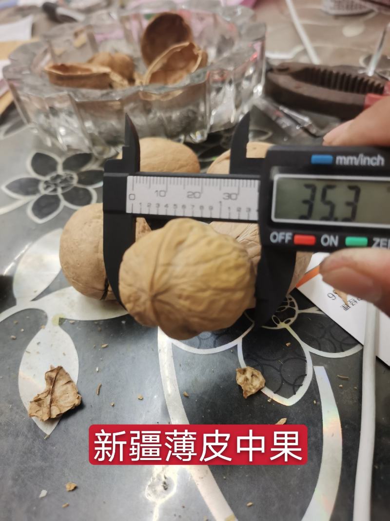 20年新货新疆特产薄皮核桃瓤子白无陈货量大从优