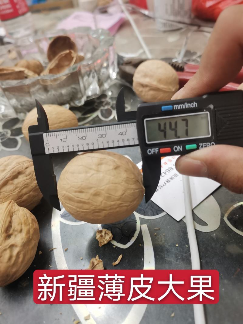 20年新货新疆特产薄皮核桃瓤子白无陈货量大从优