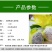无刺黄龙果苗以色列无刺黄龙果苗火龙果苗种植盆栽当年结果