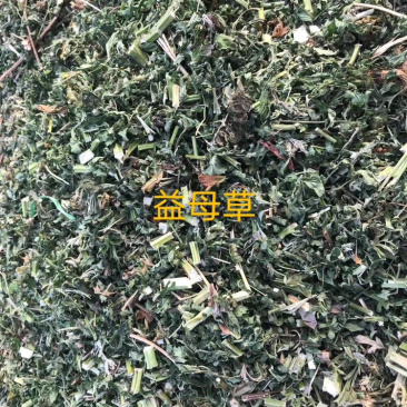 益母草真品吸尘益母草产地直销量大从优